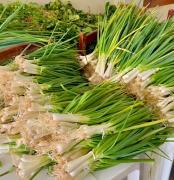 WhatsApp Image 2024-08-16 at 17.42.22.jpeg