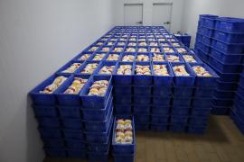 WhatsApp Image 2024-09-25 at 16.07.50 (1).jpeg