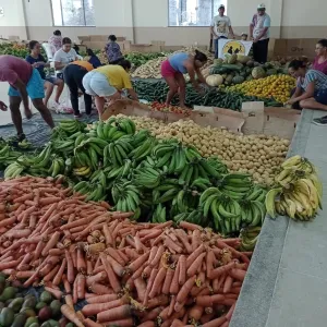 PAA Alimentos beneficia centenas de famílias em Macarani 
