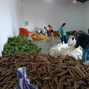 PAA garante 8 toneladas de alimentos para centenas de famílias em Abaré 