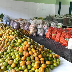 Seades beneficia milhares de famílias com alimentos saudáveis