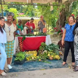 paa alimentos camaçari