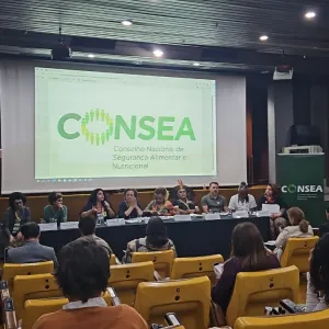 consea nacional 2024