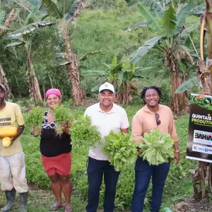quintais produtivos litoral sul