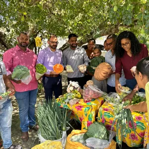 paa quilombola irara