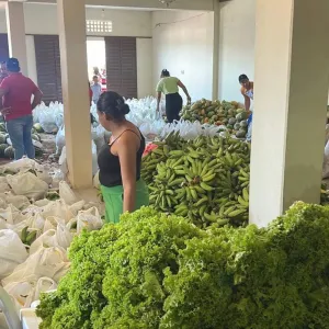 paa abrae sexta compra 