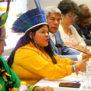 sonia ministra jeronimo indigenas