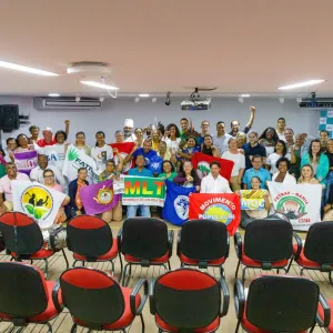 consea plenaria plansan