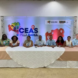 ceas eleição sociedade civil