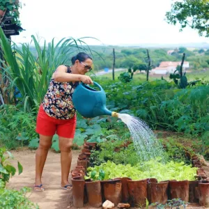 Programa de Aquisição de Alimentos completa 23 anos como política estratégica de promoção da segurança alimentar no país
