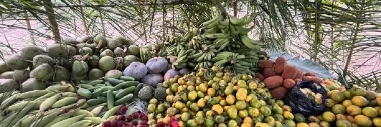 PAA Indígena é lançado na Bahia e beneficiará 15 etnias e mais de 10 mil famílias