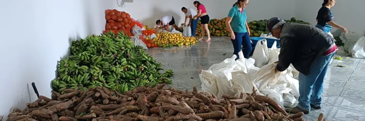 PAA garante 8 toneladas de alimentos para centenas de famílias em Abaré 