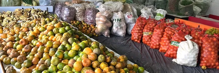 Seades beneficia milhares de famílias com alimentos saudáveis