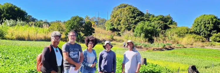 quintais produtivos velho chico