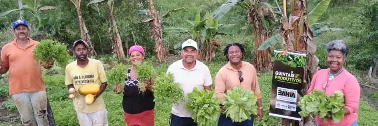 quintais produtivos litoral sul