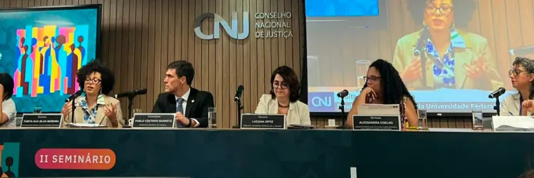 11 seminario redução de danos 