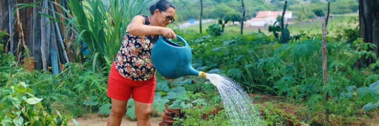 Programa de Aquisição de Alimentos completa 23 anos como política estratégica de promoção da segurança alimentar no país