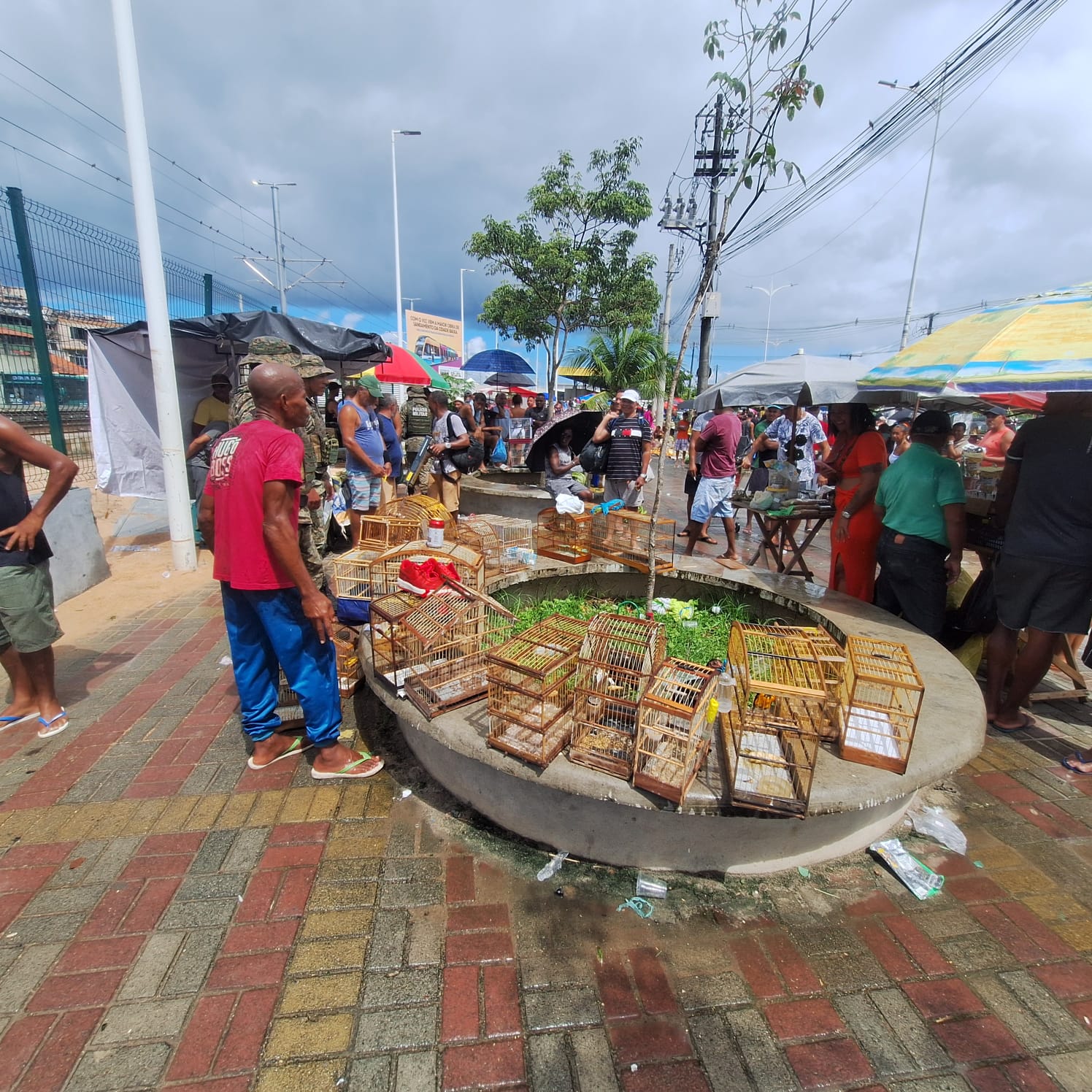 Polícia Militar - DCS