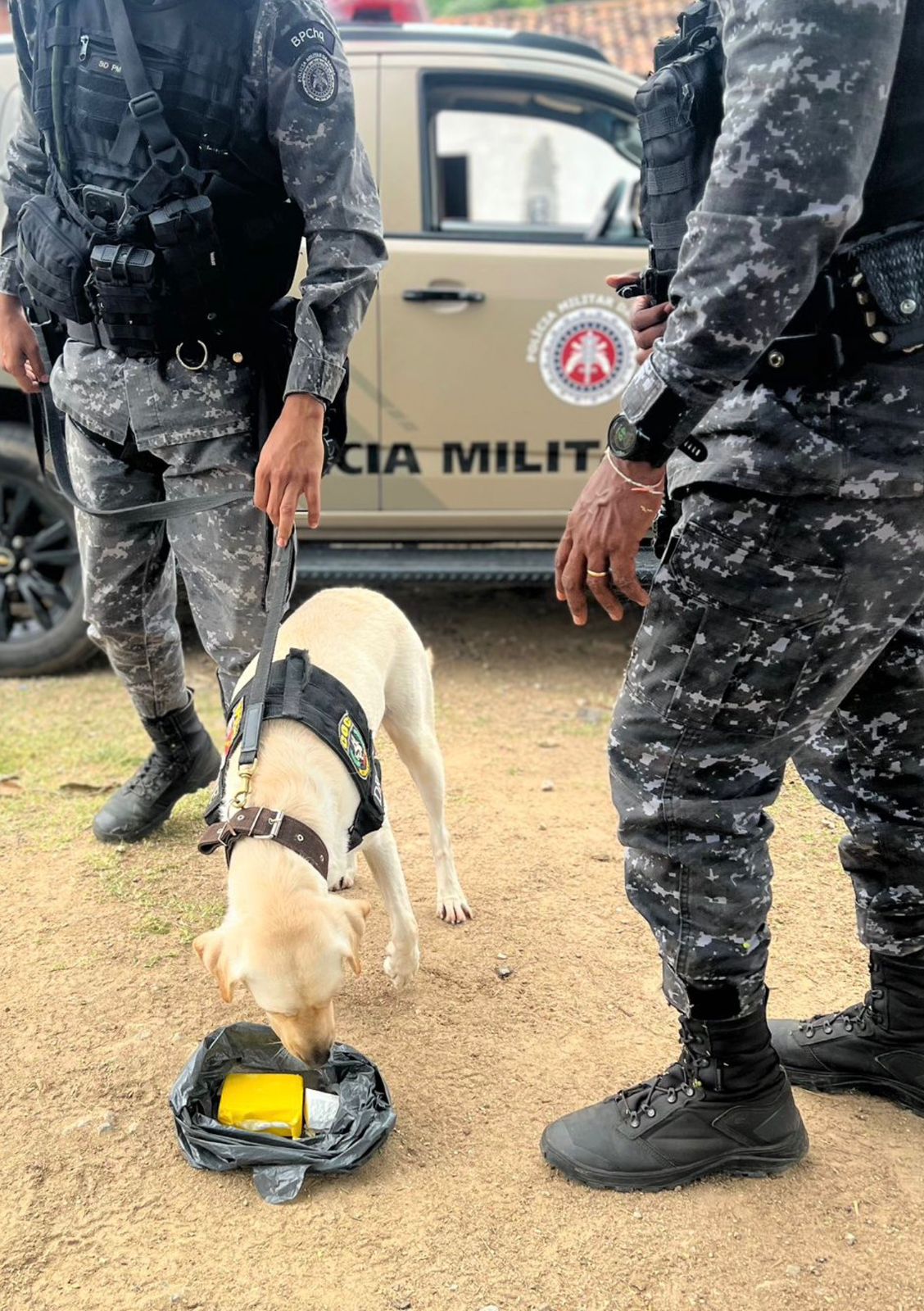 Divulgação/ Ascom SSP