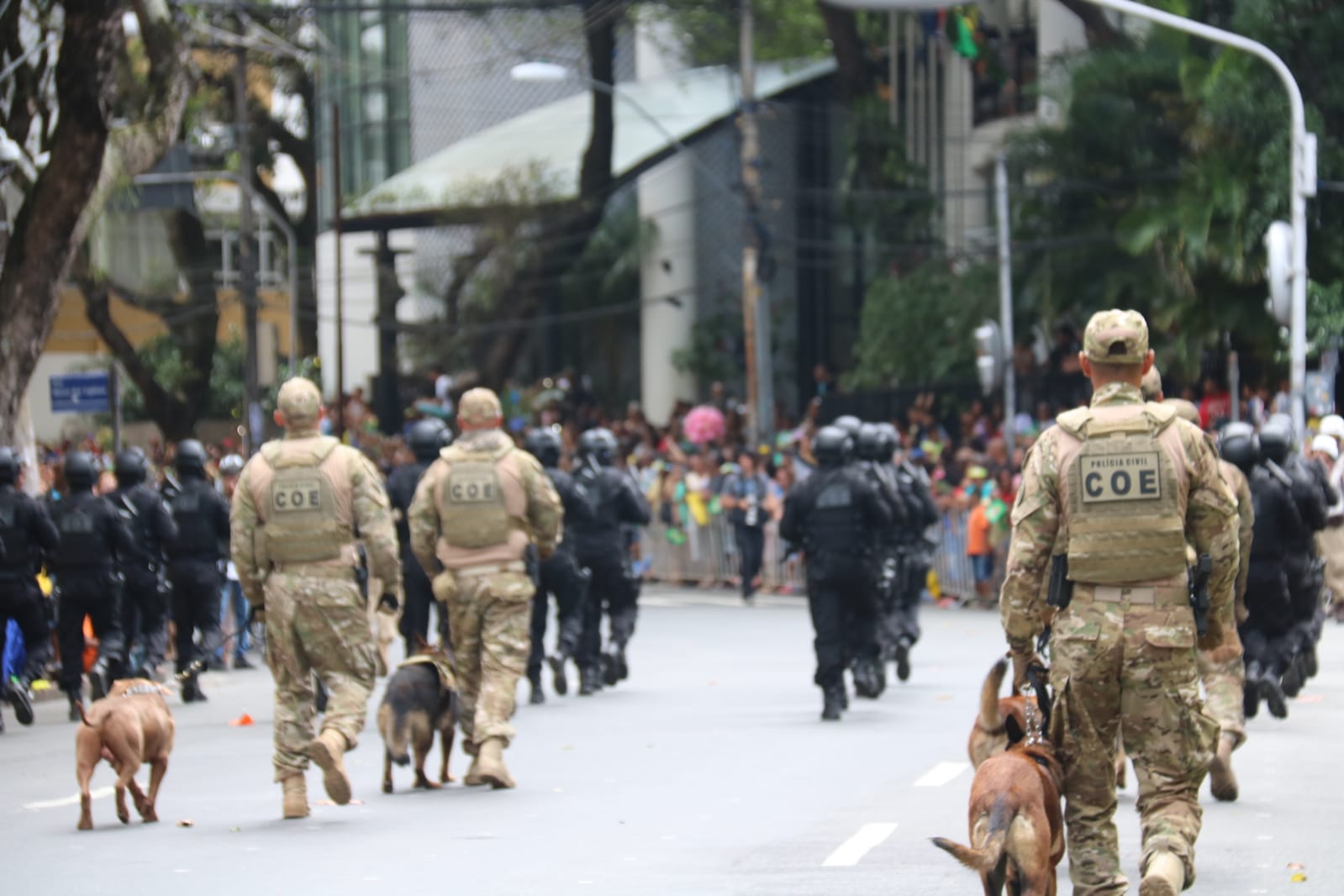 Imagens ilustrativas: Vitor Barreto/ Ascom SSPBA