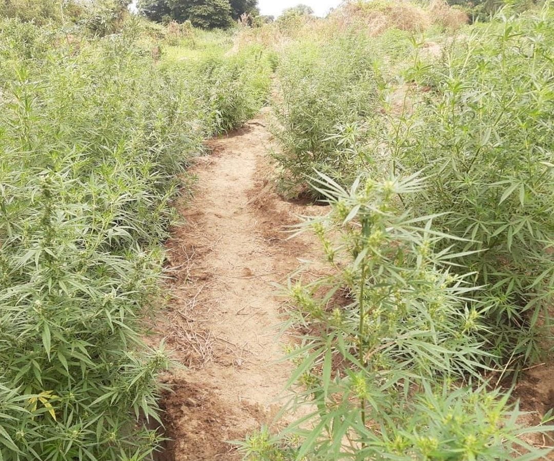 Foto: Divulgação SSP