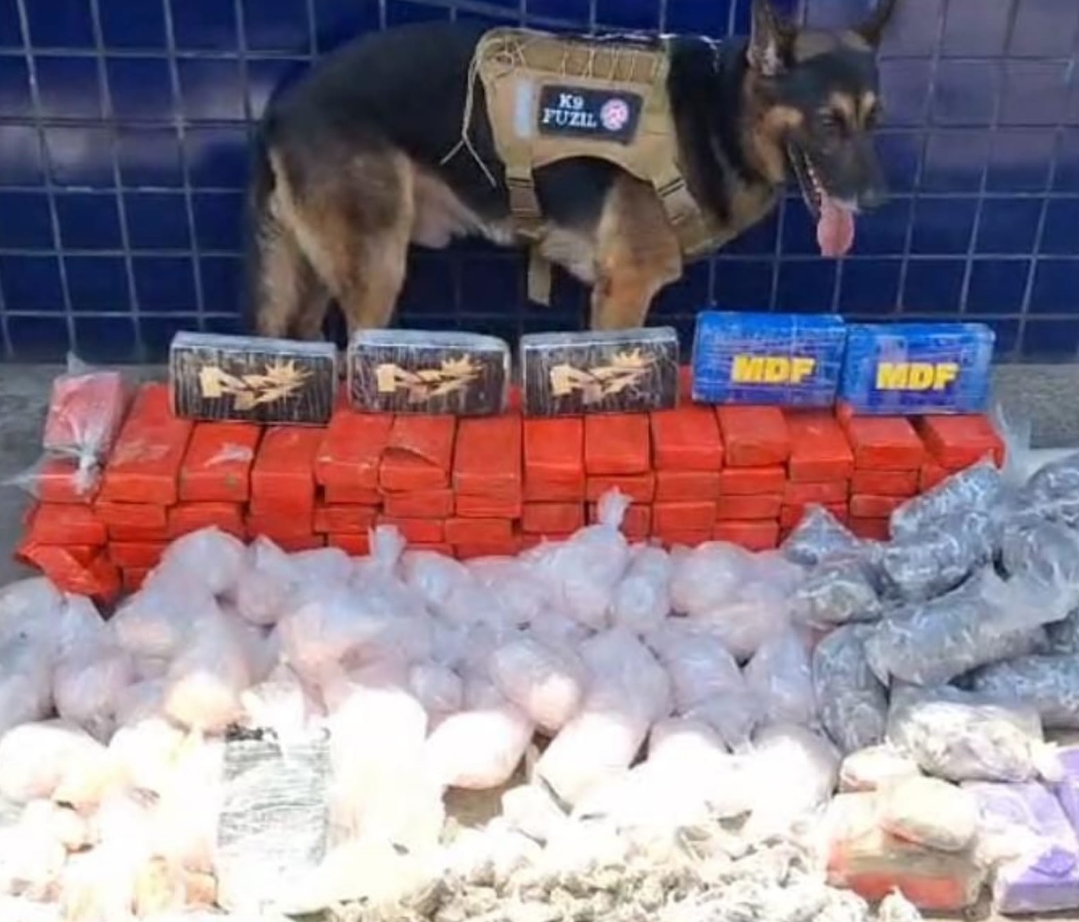 Imagem: Divulgação SSPBA