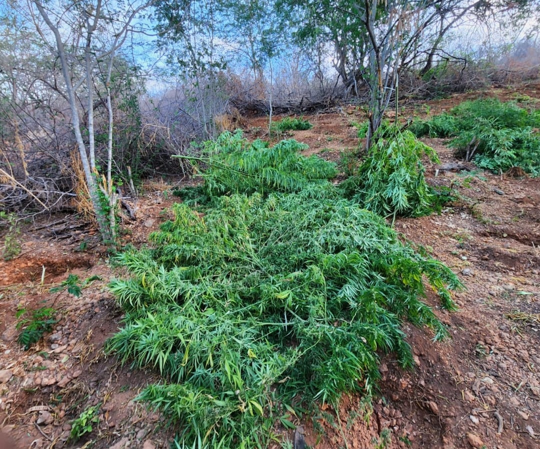 Foto: Divulgação SSP