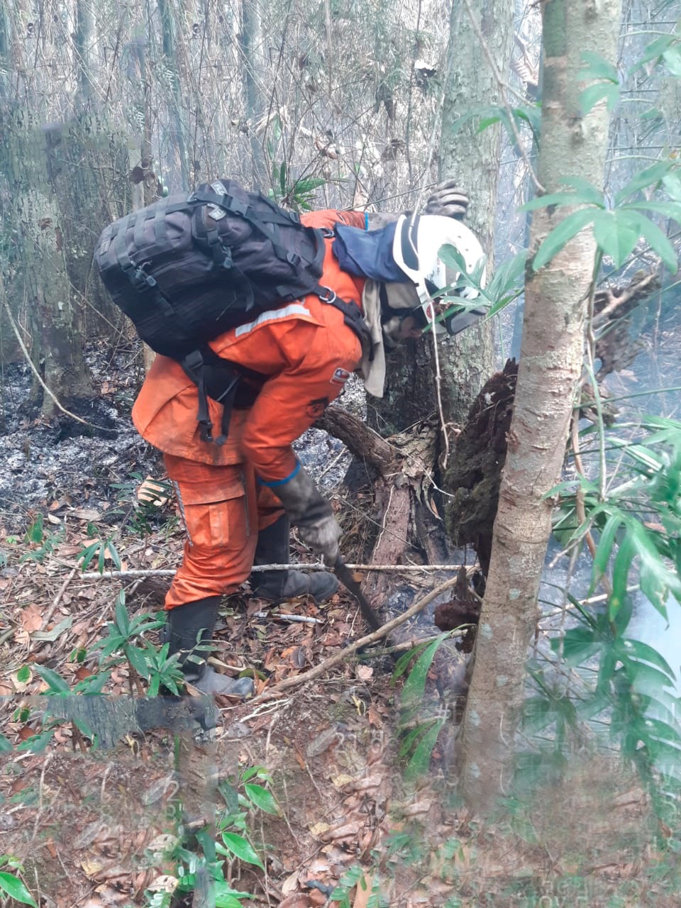 Divulgação CBM Divulgação CBM