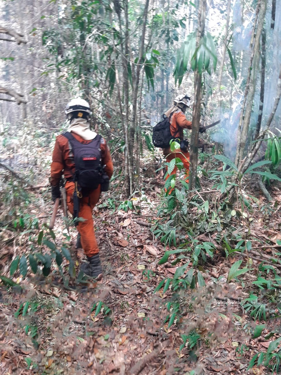 Divulgação CBM Divulgação CBM