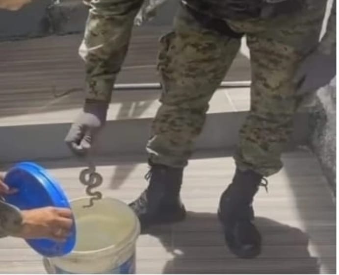 Foto: Divulgação SSP