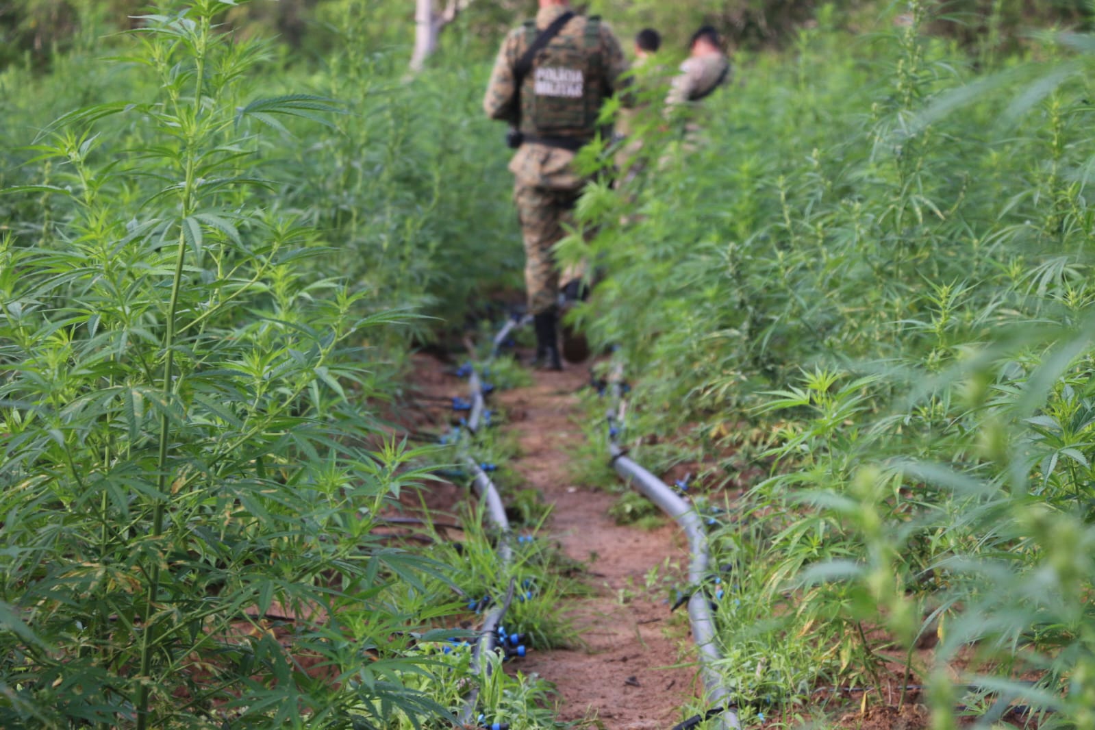 2 Alberto Maraux / Ascom SSP