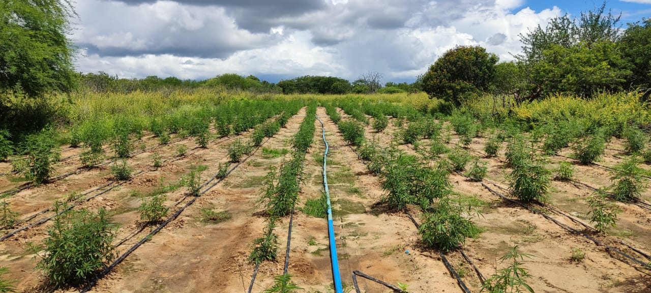 WhatsApp Image 2024-04-13 at 16.19.25