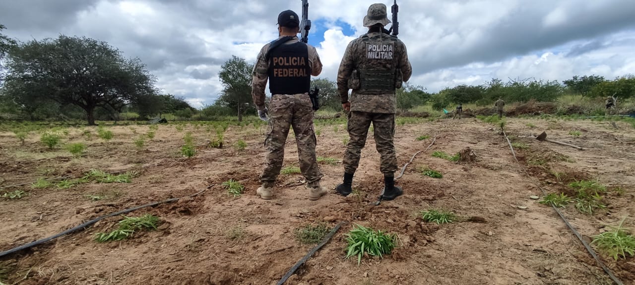 WhatsApp Image 2024-04-13 at 16.19.40