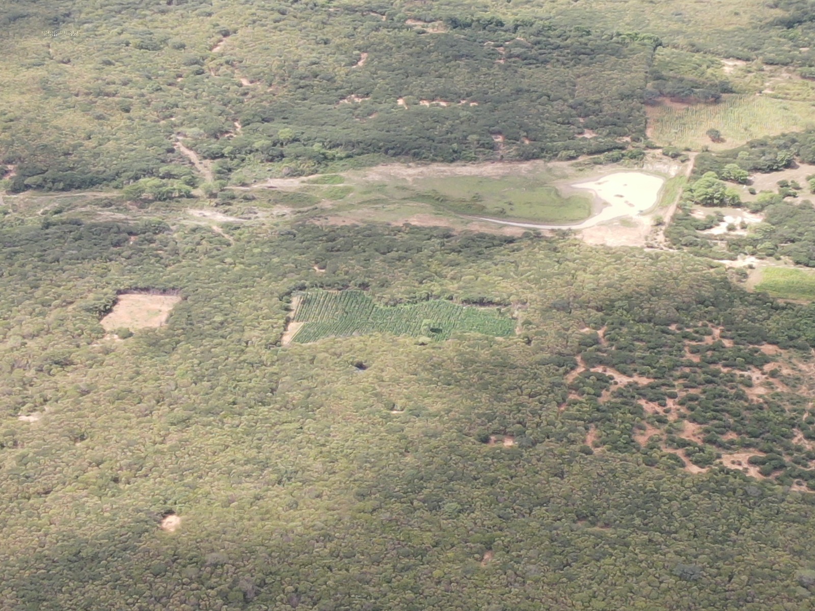 Foto: Divulgação PF