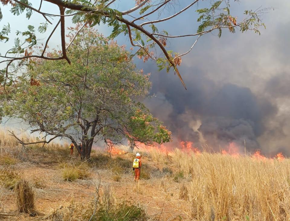 Foto: Divulgação CBM