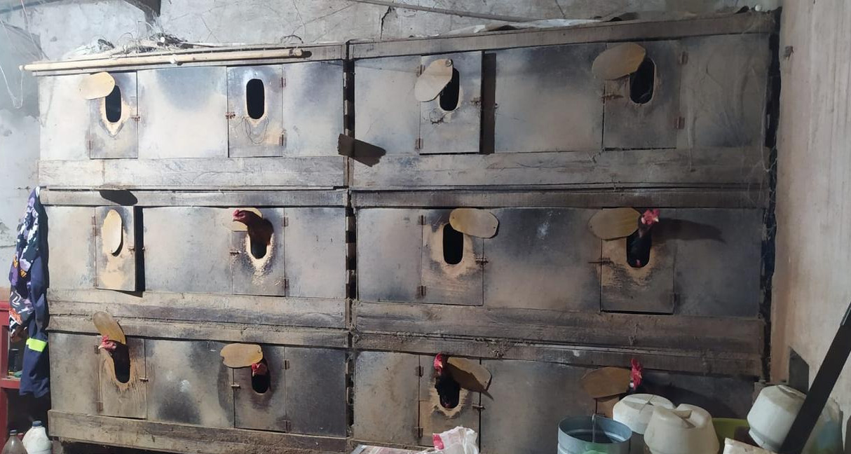 Divulgação/Ascom PCBA