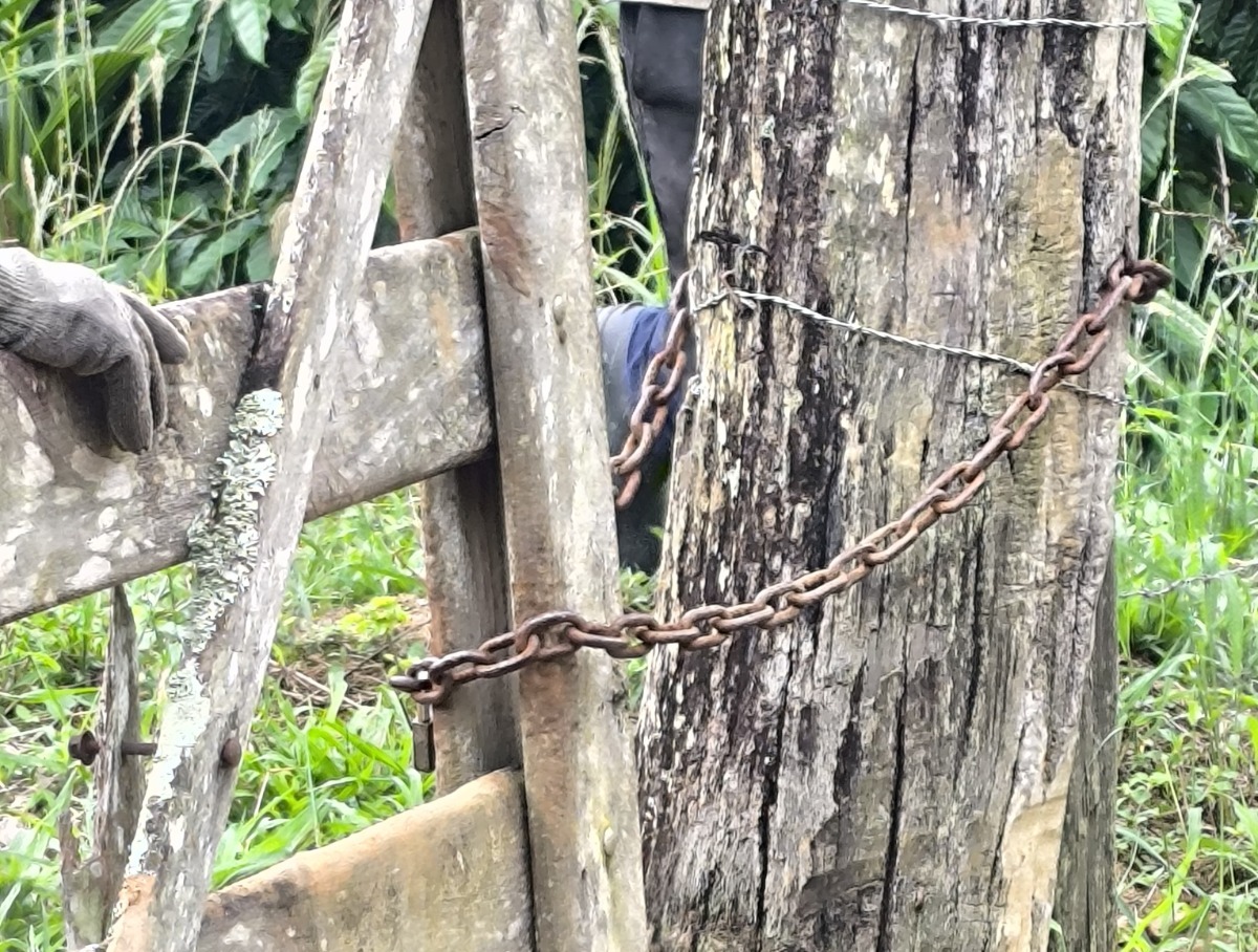 Divulgação/Ascom PCBA