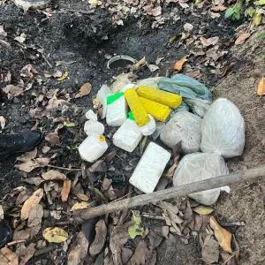 Operação Navalha mira núcleo de grupo criminoso e apreende mais de 26 kg de drogas em Eunápolis