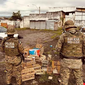 Divulgação/COPPA - PMBA