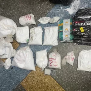 Entorpecentes apreendidos são exibidos