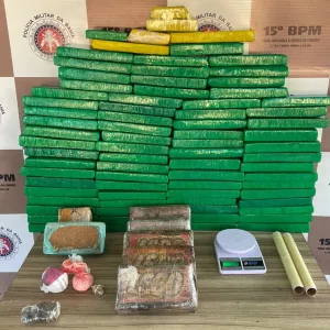 Dorgas apreendidas estão sobre uma mesa