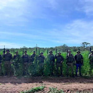 Policiais estão em frente a plantação