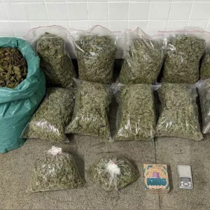 Entorpecentes estão em sacos