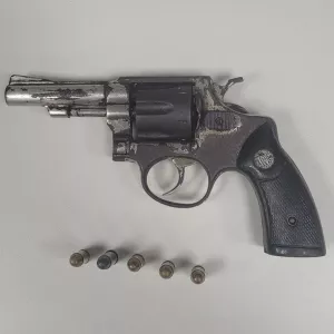 Materiais apreendidos são exibidos