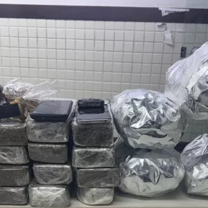 Materiais apreendidos são exibidos