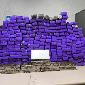 Materiais apreendidos são exibidos