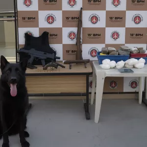 Materiais encontrados são fotografados