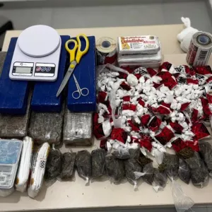 Materiais apreendidos são exibidos