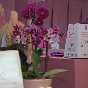 SSP recebe primeiras doações de mechas no salão temporário do projeto Ligadas Por Fios