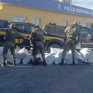 Materiais apreendidos são exibidos